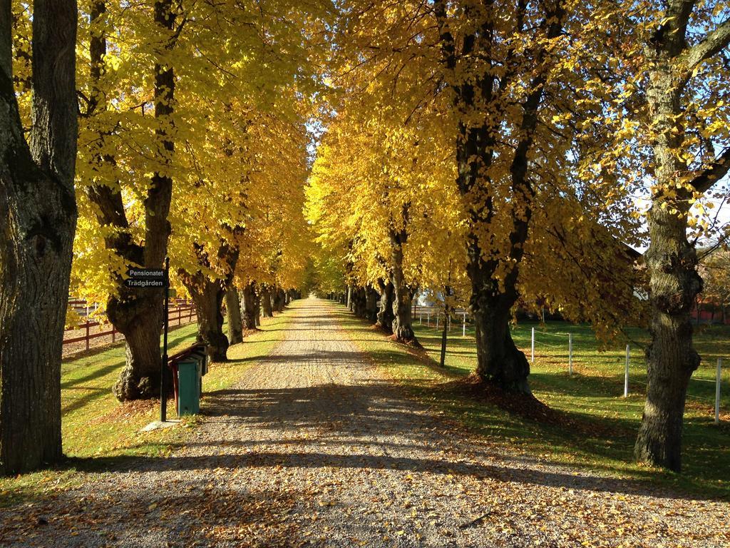 Runnvikens Pensionat Tystberga ภายนอก รูปภาพ